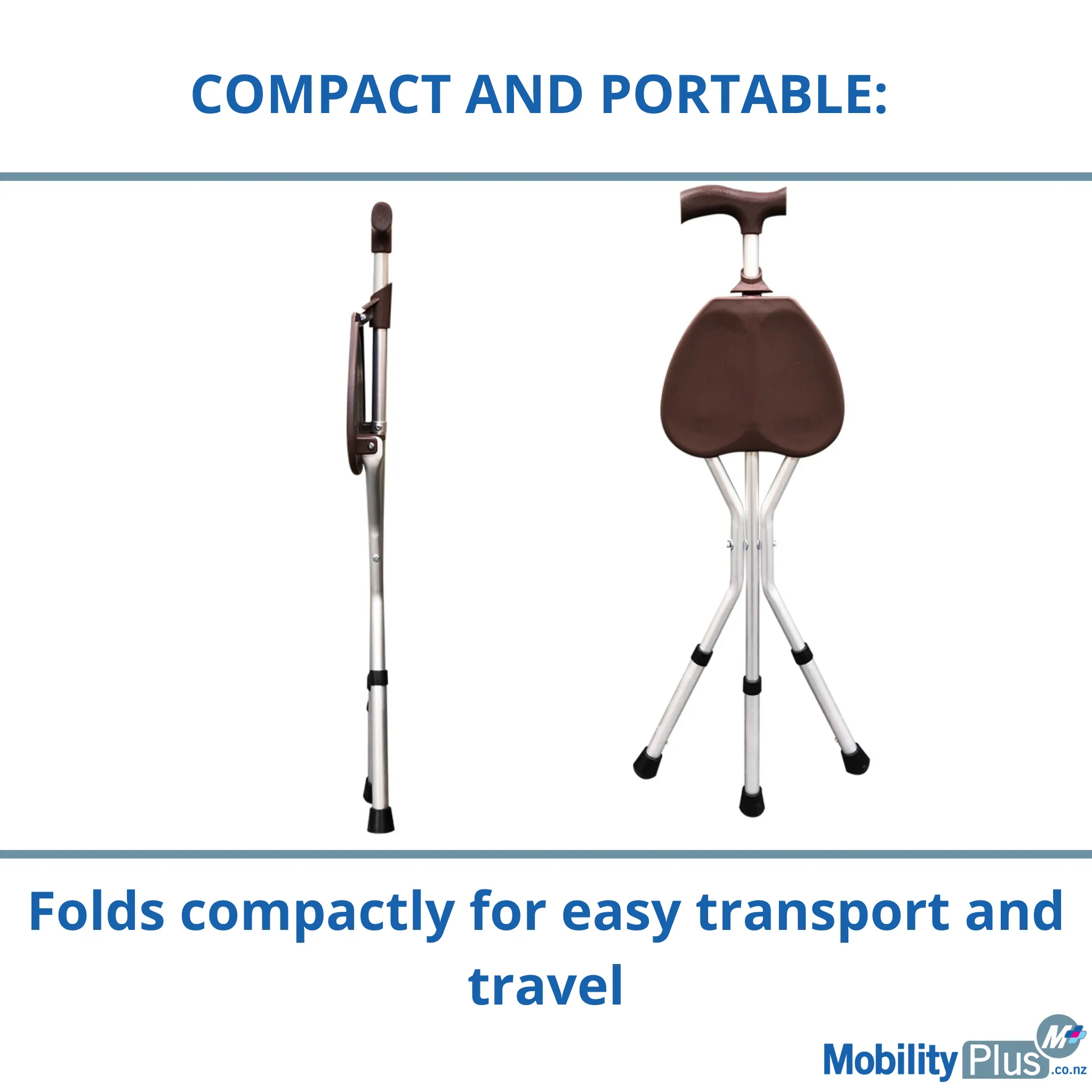 Deluxe Cane Seat & Walking Stick in One!